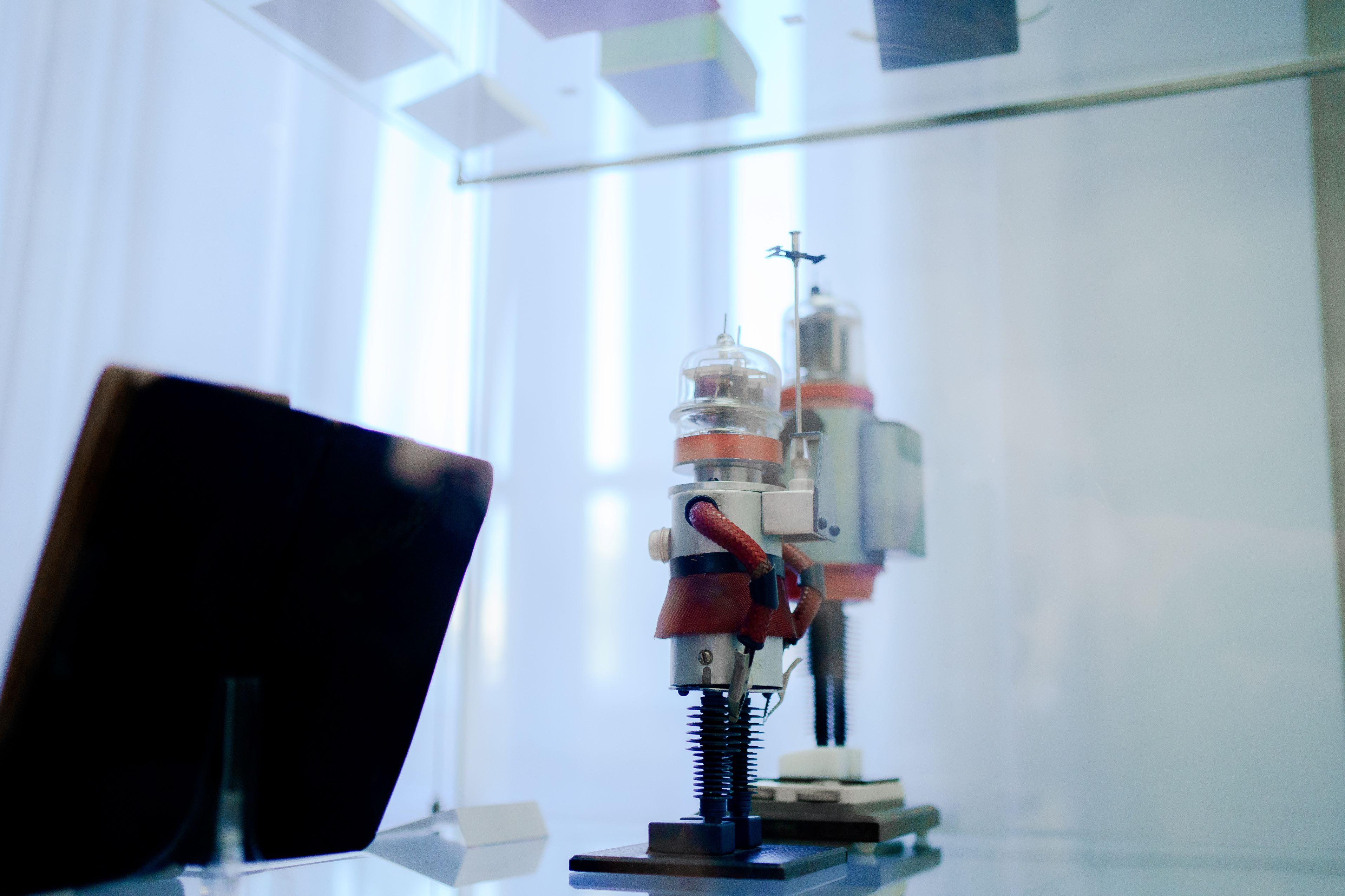 фотография: Дмитрий Фоменков